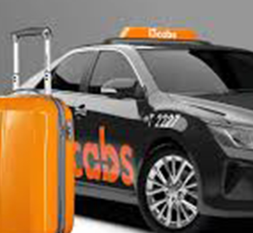 Product Description Image